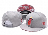 Miami Heat Team Logo Adjustable Hat GS (55),baseball caps,new era cap wholesale,wholesale hats